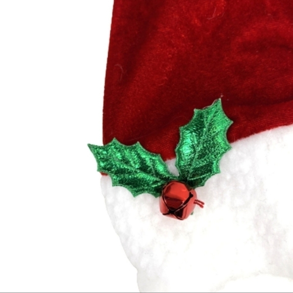 NWT Merry & Bright Pet Santa Hat with Attached Beard Dog Chistmas New - Picture 4 of 8